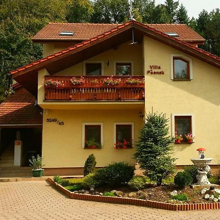Villa Psenek Banka Εξωτερικό φωτογραφία