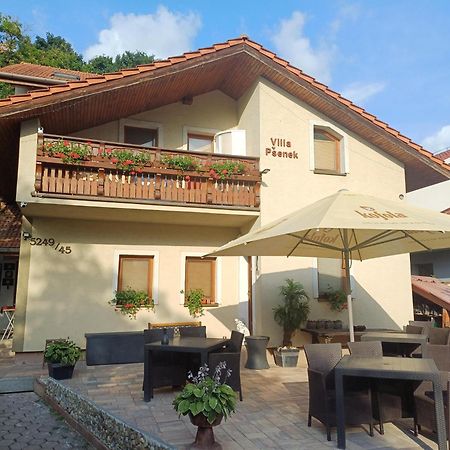 Villa Psenek Banka Εξωτερικό φωτογραφία